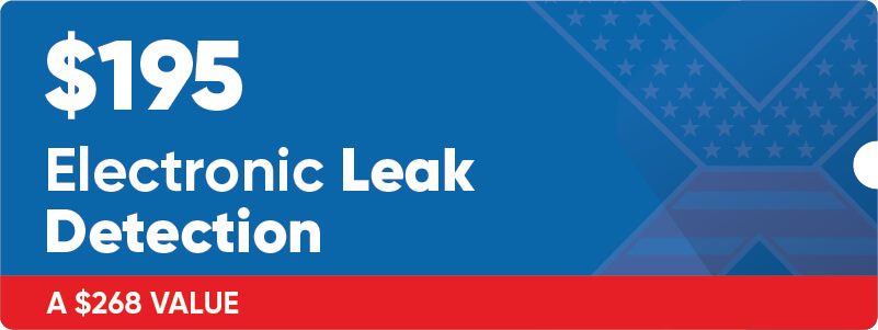 $195 Electronic Leak Detection Coupon