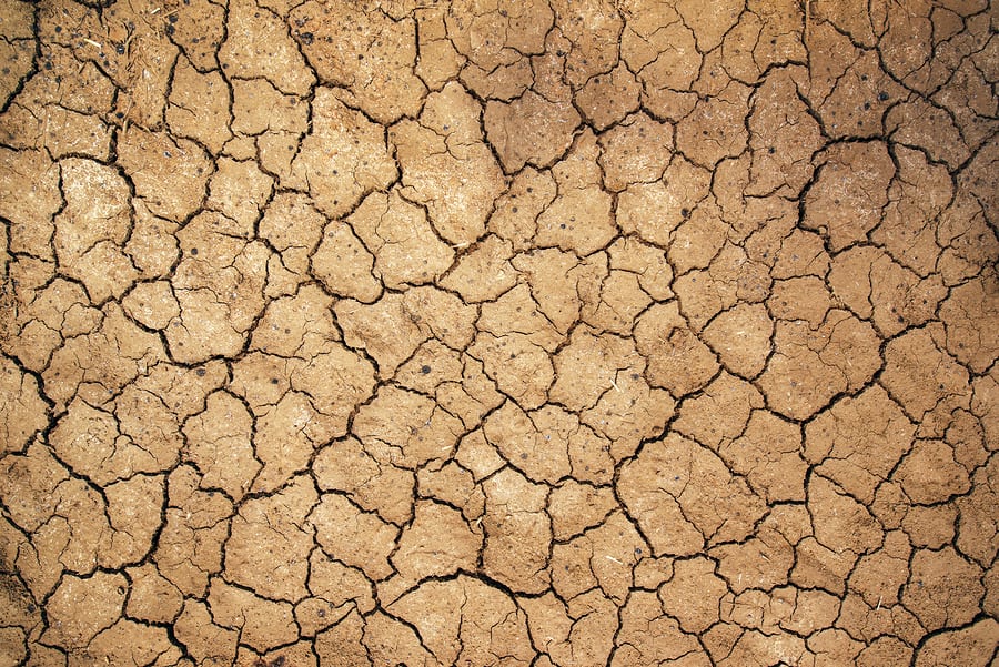 cracked desert floor
